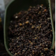 PARTICLES FOR FISHING CAÑAMON CUBO 3KG