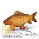 DELPHIN PELUCHE CARPA 60CM