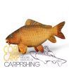 DELPHIN PELUCHE CARPA 60CM