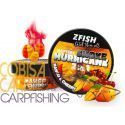 ZFISH Smoke Hurricane Wafters 2in1 Mango-cherry