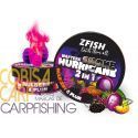 ZFISH Smoke Hurricane Wafters 2in1 Mulberry-plum