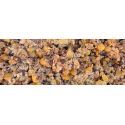 PARTICLES FOR FISHING SPRING 5 KG CUBO