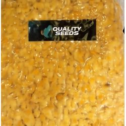 QUALITY SEEDS MAIZ AMARILLO 1 KG