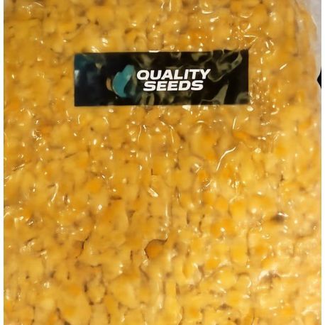 QUALITY SEEDS MAIZ AMARILLO 1 KG