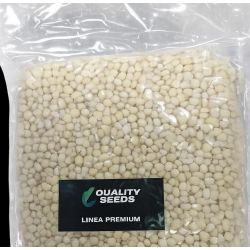 QUALITY SEDDS MAIZ BLANCO 1 KG