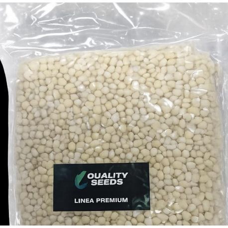 QUALITY SEDDS MAIZ BLANCO 1 KG