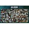 QUALITY SEEDS MIX BOOM 6 KG