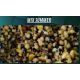 QUALITY SEEDS MIX SUMMER 6 KG