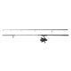 MITCHELL CATCH PRO II CARP 302 10 FT 3 LB CARRETE