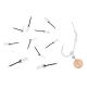 ZFISH BAIT SPIKE S SILICONE HOLDER