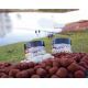 DYNAMITE THE SOURCE FLURO POP-UPS & DUMBELLS 15 MM