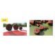 DYNAMITE THE SOURCE PELLETS 21 MM PRE-DRILLED 350 GR