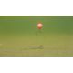 PB PRODUCTS CHOD MONO 0,50 MM 25 LB WEED 20 M