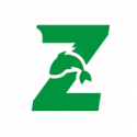 Z-FISH
