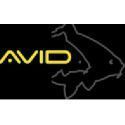 AVID CARP